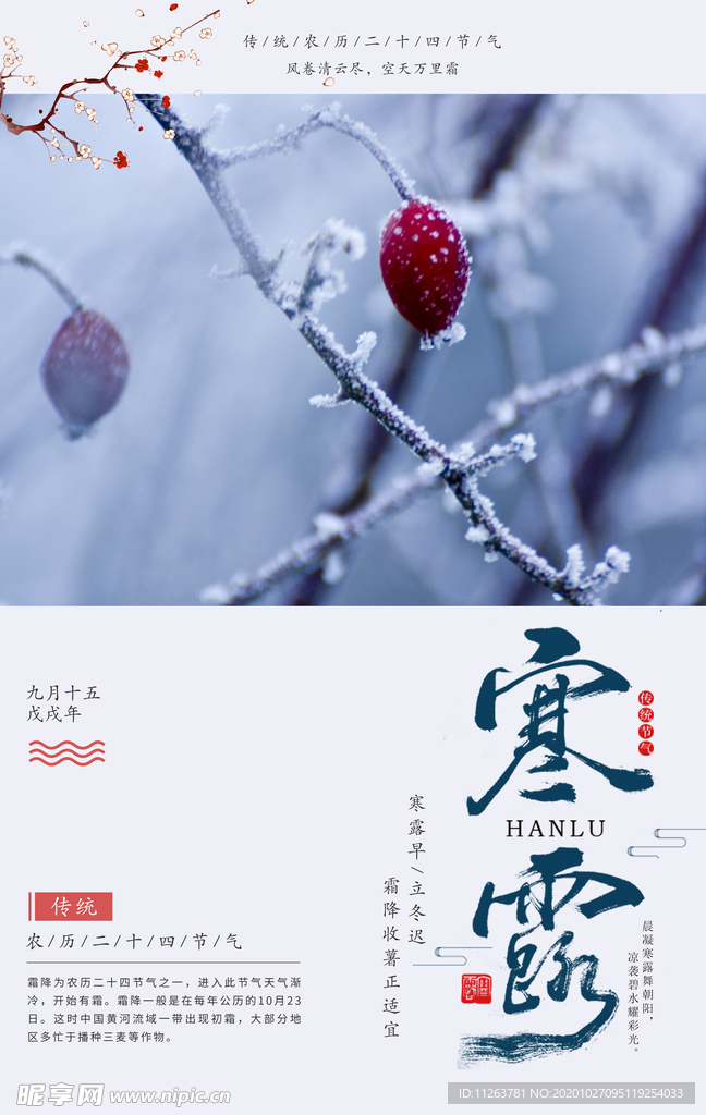 寒露海报