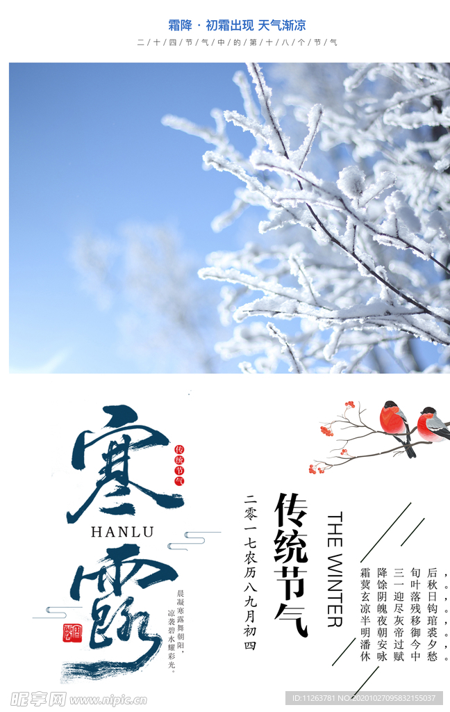 寒露海报