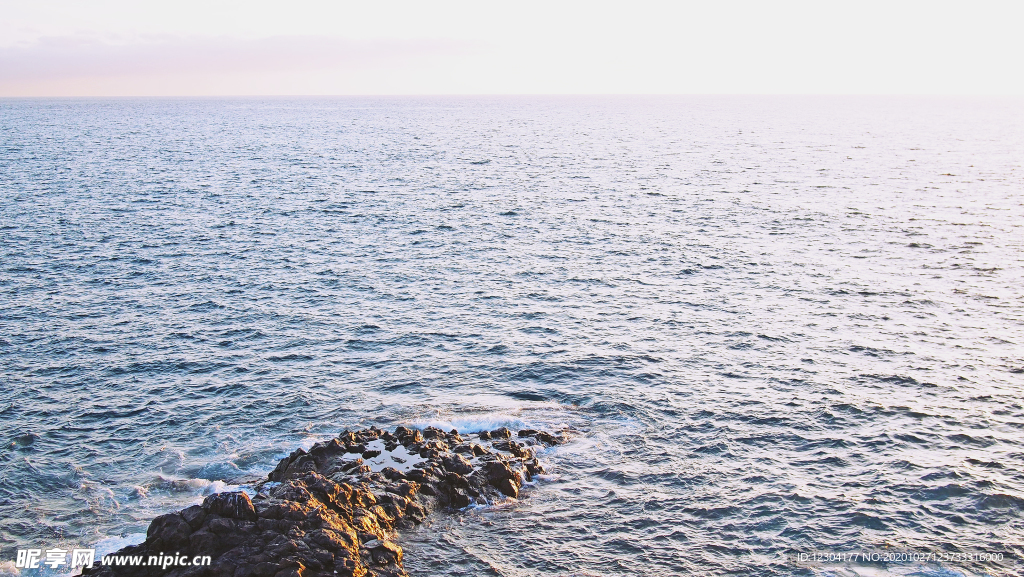 海