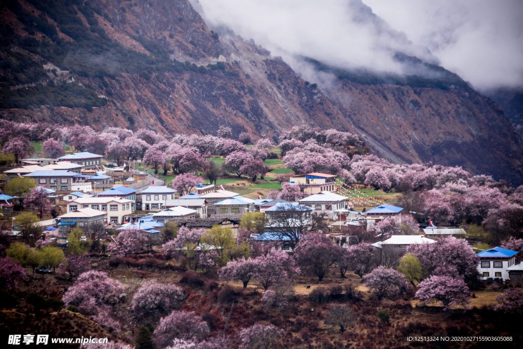 桃花