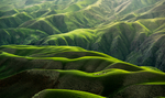 群山草地山谷风景放羊