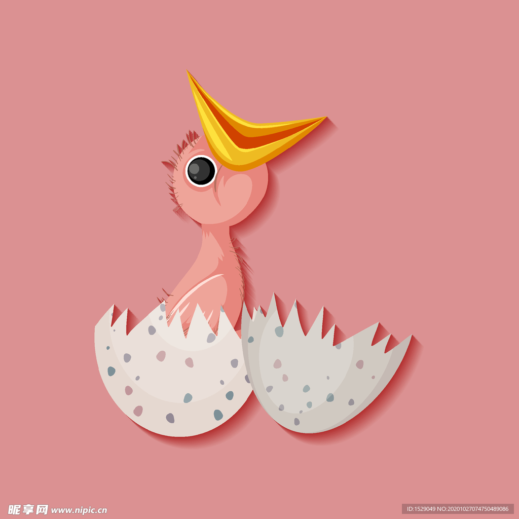 卡通小鸟
