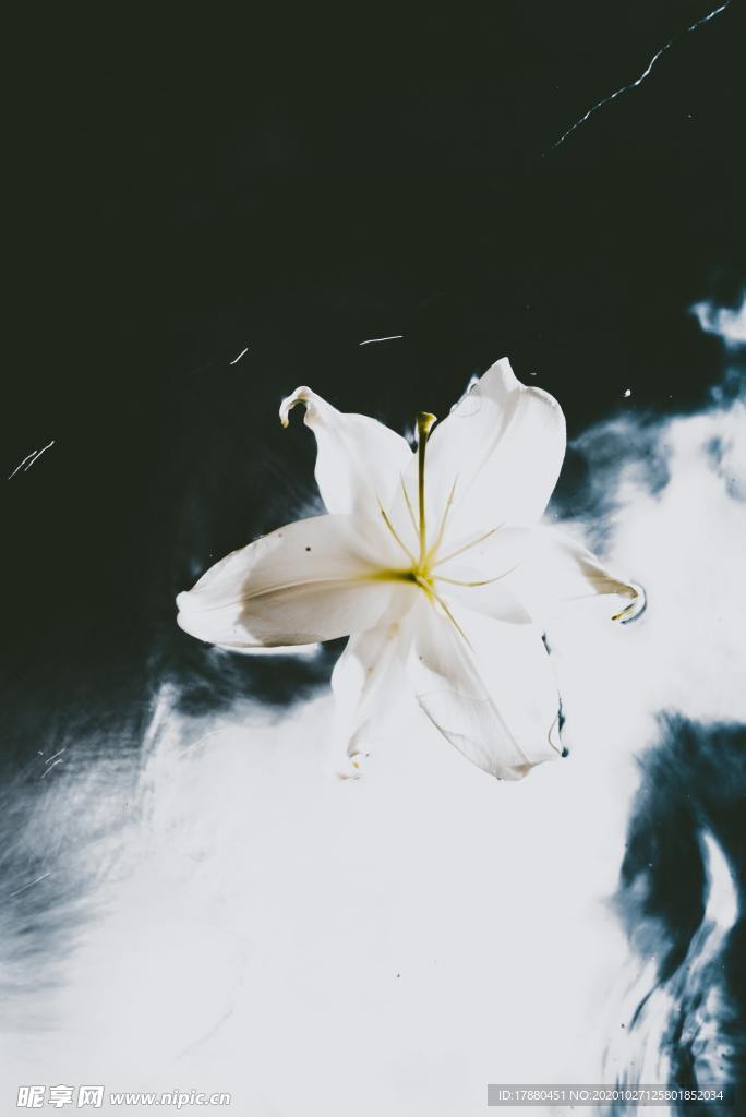 花卉