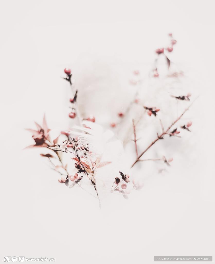 花卉