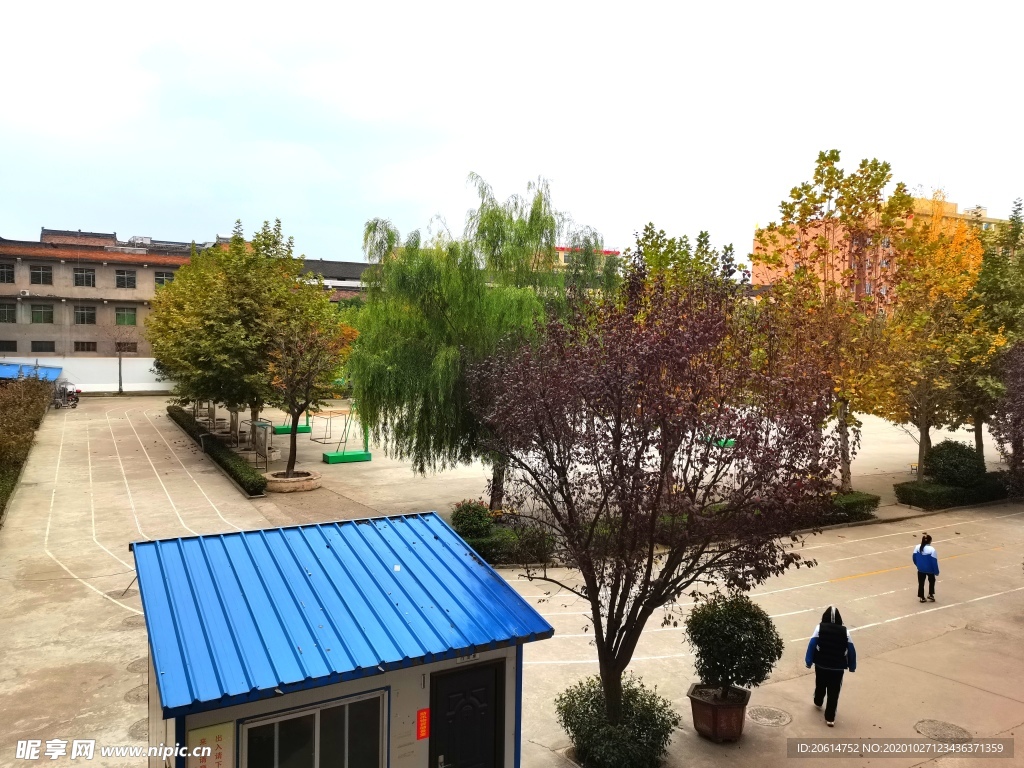 美丽的校园风景
