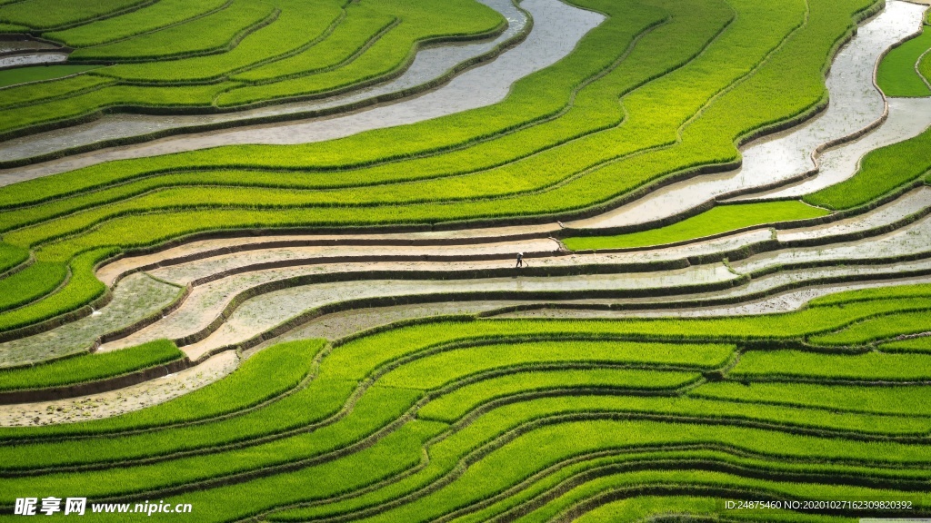 梯田风光