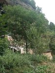 山水风光