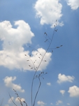 蓝天