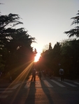 夕阳