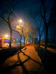 冬季的夜晚