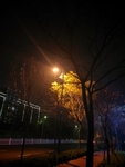 夜晚的路灯