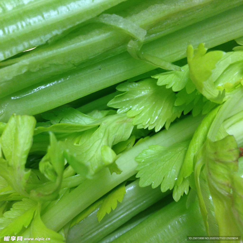 芹菜浑身都是宝 牢记这些芹菜养生保健食谱_功效_红枣_镇静