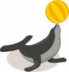 海狮顶球