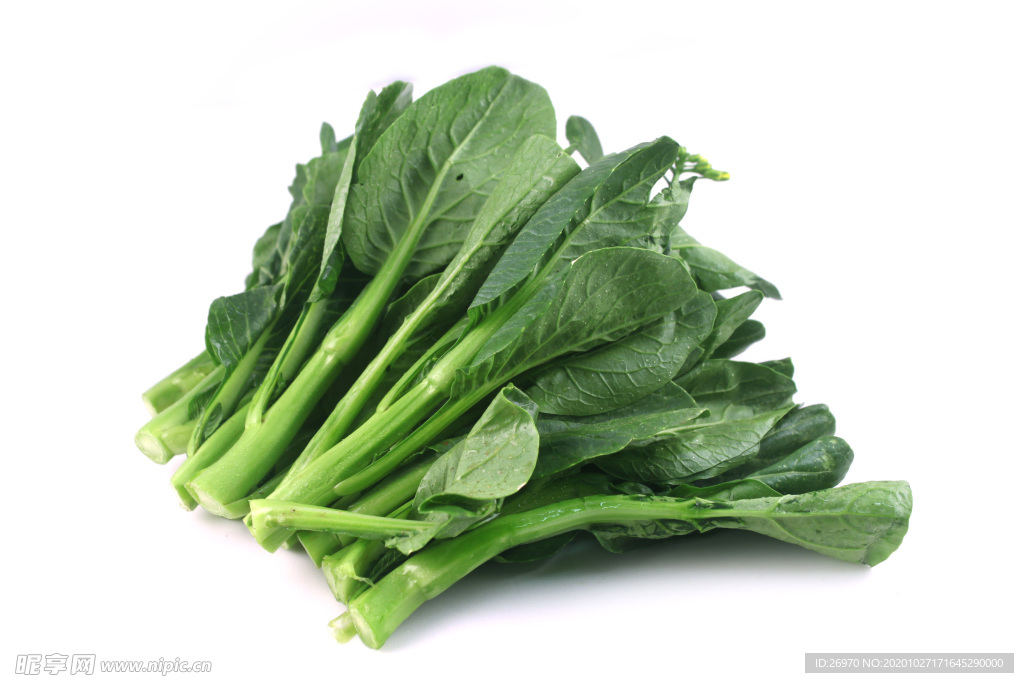 菜心