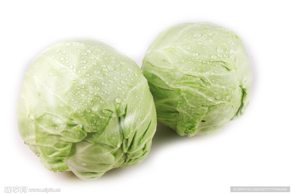 包菜