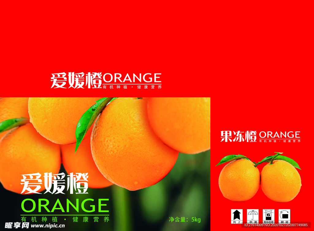 果冻橙橙子手提盒橙子包装
