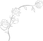 森系花卉