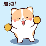 柯基可可