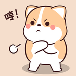 柯基可可