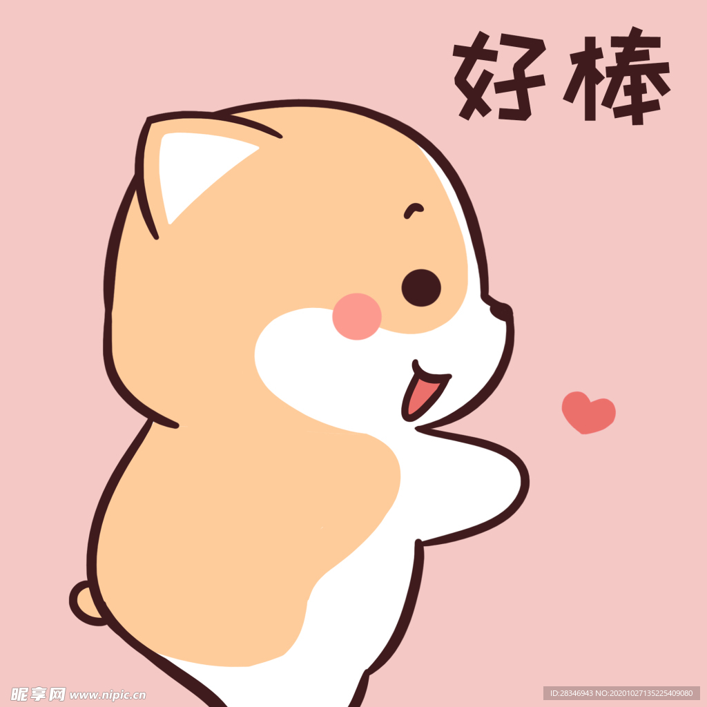 柯基可可