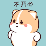柯基可可