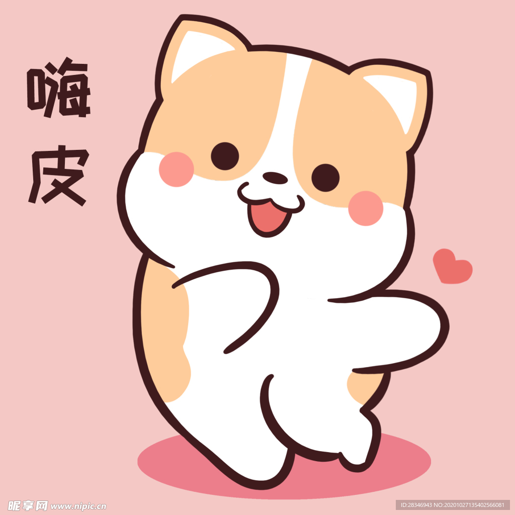 柯基可可