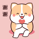 柯基可可