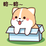 柯基可可