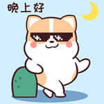 柯基可可