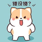 柯基可可