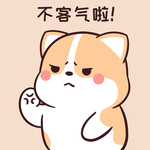 柯基可可