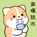柯基可可