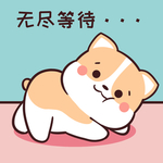 柯基可可