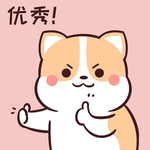 柯基可可