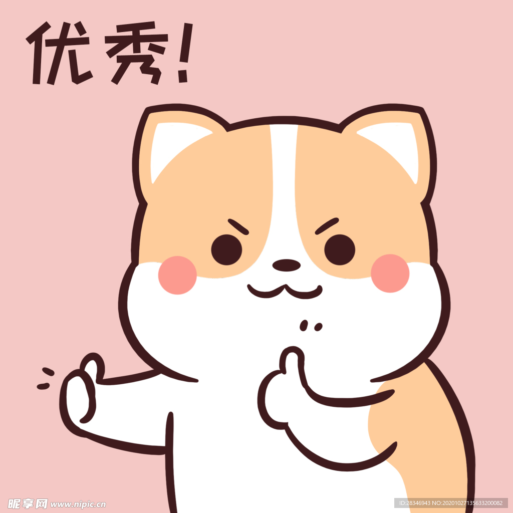柯基可可