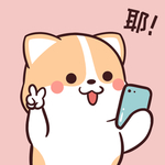 柯基可可