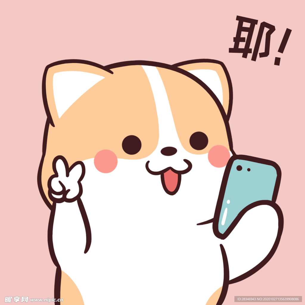 柯基可可