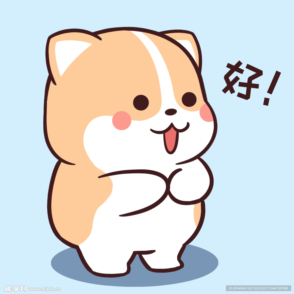 柯基可可