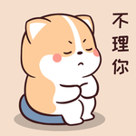 柯基可可