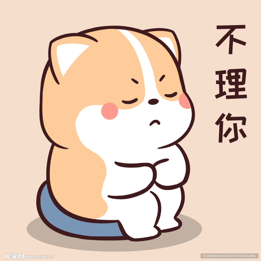 柯基可可
