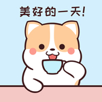 柯基可可