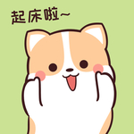 柯基可可