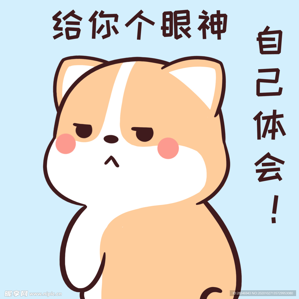柯基可可