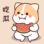 柯基可可
