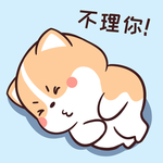 柯基可可