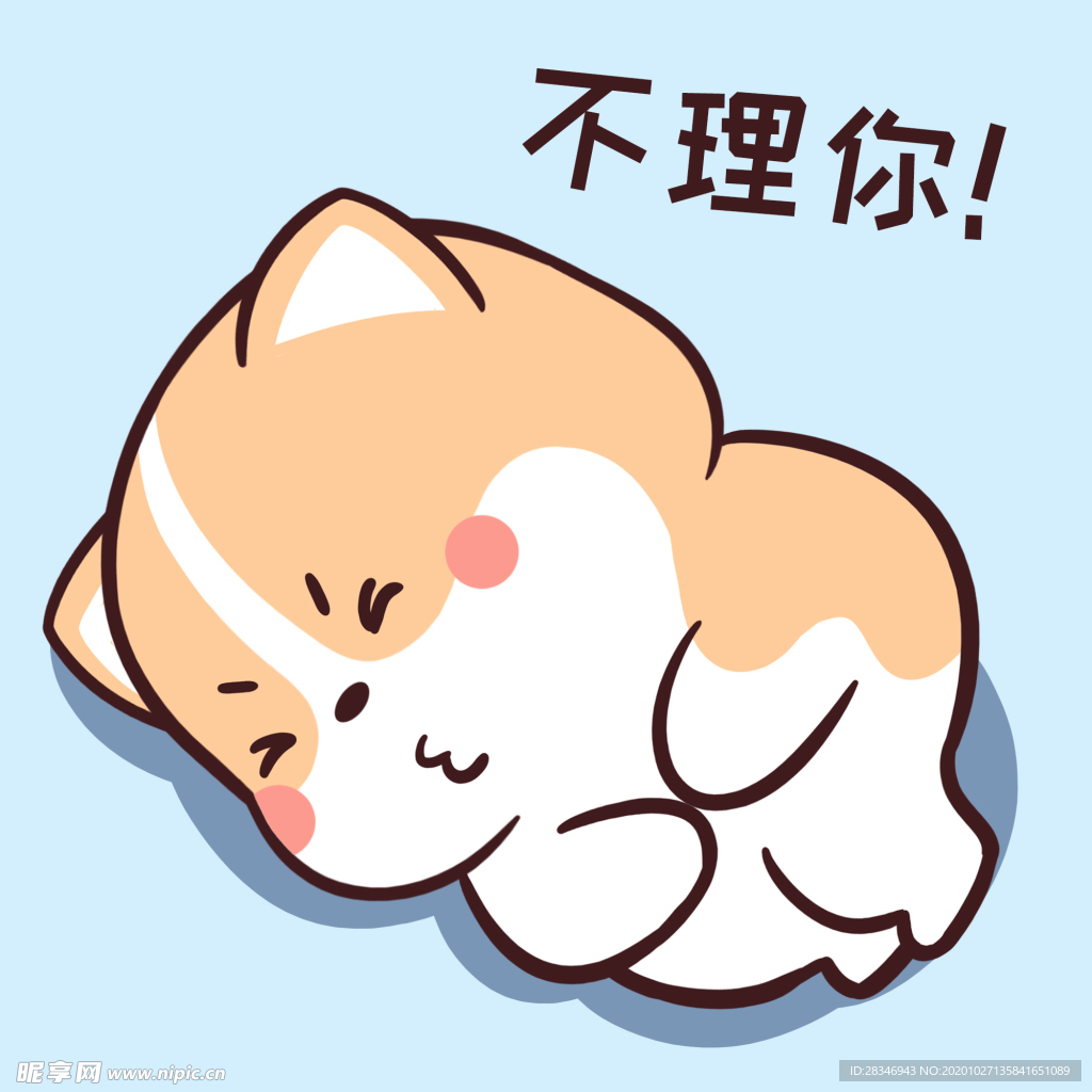 柯基可可