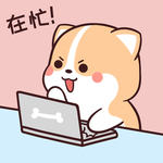 柯基可可