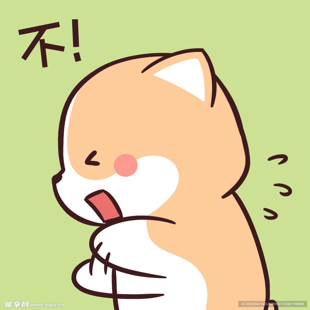 柯基可可
