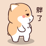 柯基可可