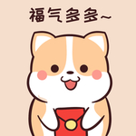 柯基可可